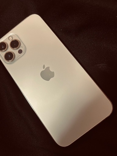 iPhone iPhone12Pro MAX