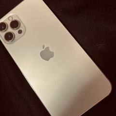iPhone12Pro MAX