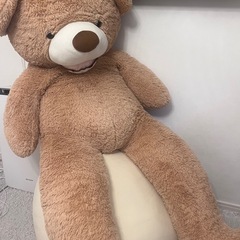 【急ぎ】コストコ　テディベア🧸