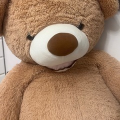 【急ぎ】コストコ　テディベア🧸の画像
