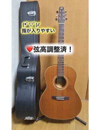 Seagull エレアコ エレアコギター】Seagullよりバリエーション豊かなニュー