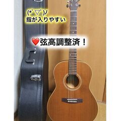 ❤️弦高調整済！「シーガル S6+FOLK MEQ エレアコ 」...
