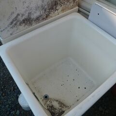 ※受付再開中　【無料】浴槽　ポリバス　ダメージ　溜め水用　メダカ　めだか　金魚　飼育用の画像