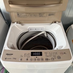 2023年製　Hisense HW-DG75C 7.5kg 洗濯機の画像