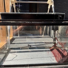60センチ水槽セット