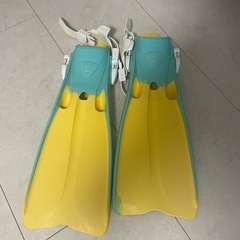 GULL　ガル　フィン　