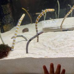 仲良く話せる方〜👋🙂