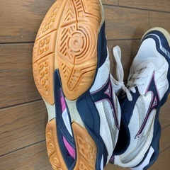 バレーボール　室内シューズの画像