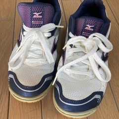 バレーボール　室内シューズの画像