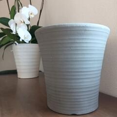 ウ 素焼き鉢 植木鉢 胡蝶蘭鉢 美品