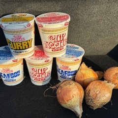 食品(カップラーメン、玉ねぎ)
