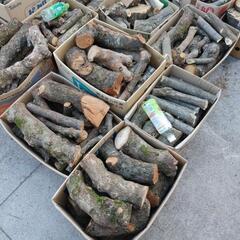 薪　広葉樹　芽吹き前に伐採の画像