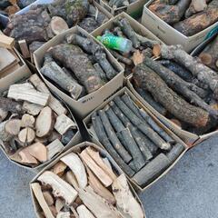 薪　広葉樹　芽吹き前に伐採の画像