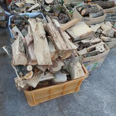 薪　広葉樹　芽吹き前に伐採の画像