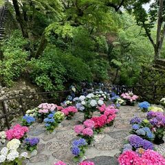 友達作り〜