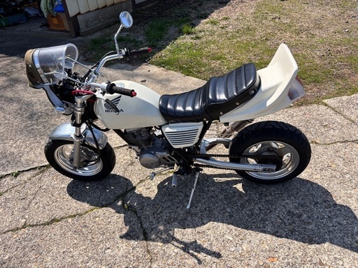 エイプ100 カスタム多数実働車両