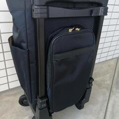 【美品】SWANY ルバンド ミニ キャリーバッグの画像