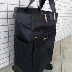 【美品】SWANY ルバンド ミニ キャリーバッグの画像