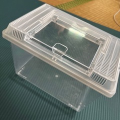 虫かご