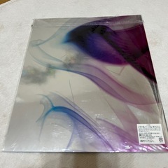 【美品】キスマイ パンフレット2011 デビュー魂 パンフレットの画像