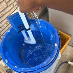 サモアポンプ〜の画像