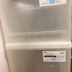ニトリ　プラスチック衣装ケースL