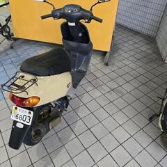 ディオフィット50㏄(原付)の画像