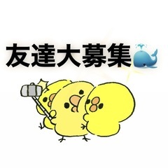 気軽に遊べる友達を探してる方へ🌸一緒に楽しい時間を過ごしませんか？✨