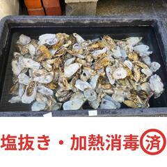 【1kg300円】水質改善に！天然牡蠣ガラ（家庭菜園やボレー粉にも◎）の画像