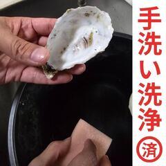 【1kg300円】水質改善に！天然牡蠣ガラ（家庭菜園やボレー粉にも◎）の画像