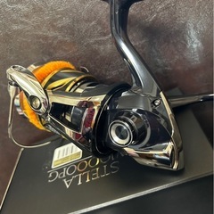 STELLA SW10000PGスピニングリールの画像