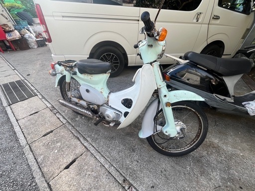 カモメ　
カブ50