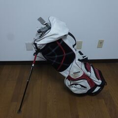 サンマウンテンキャデーバックとパター2本