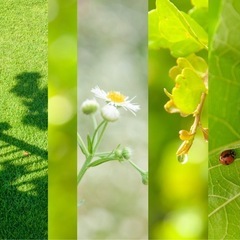 🌿【6月7日(土)開催】女の子限定📷ひだまりフォトウォーク🧺 - 友達