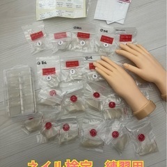 ネイル検定 練習用ハンド ネイルチップセット