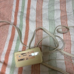 季節外れでごめんなさい　電気毛布