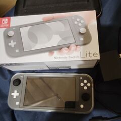 Switchライト 本体 