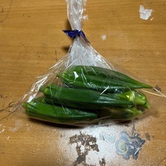 角オクラ