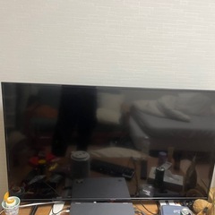 テレビ
