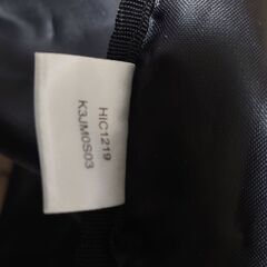 MIZUNO　ランドリーバックの画像