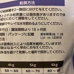 キャットフードの画像