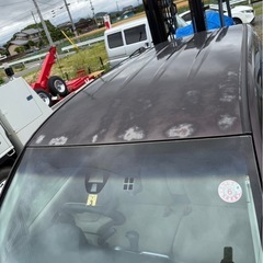 コンパクト☆☆ＮＷＧＮ((車検2年付))の画像