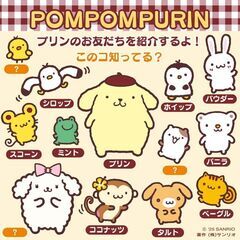 サンリオ好きな方🏰🌼