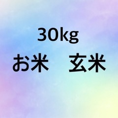令和6年産 玄米30kg