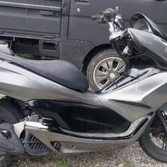 PCX125の画像