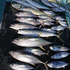 釣りに行ってみませんか🙌🏻🎣