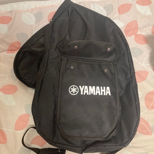 PAC112VH/ICB エレキギター アンプ ソフトケースのセット