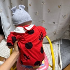 リボンドール　おままごと　　の画像