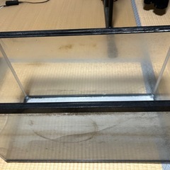 水槽（取引成立 ）の画像