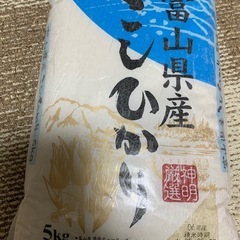 富山県産こしひかり　R6年度産　5キロ（お話し中）　